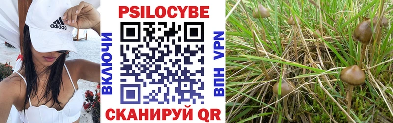 Купить закладки  Вилюйск  Псилоцибиновые грибы ЛСД 