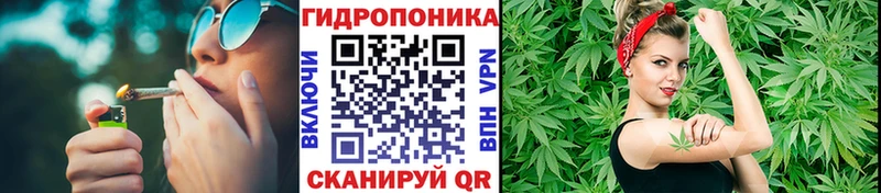 Каннабис индика  Купить  Вилюйск 